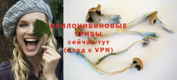 твердый Балабаново