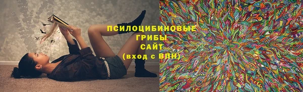 apvp Балахна
