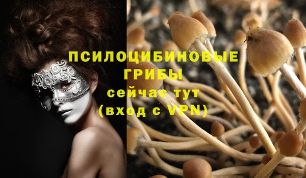 apvp Балахна