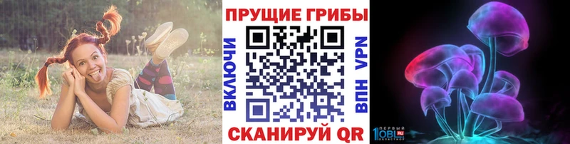 Галлюциногенные грибы Psilocybe  гидра   Ногинск  купить закладку 