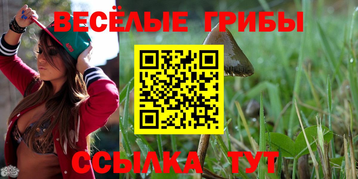 Псилоцибиновые грибы мицелий Ногинск